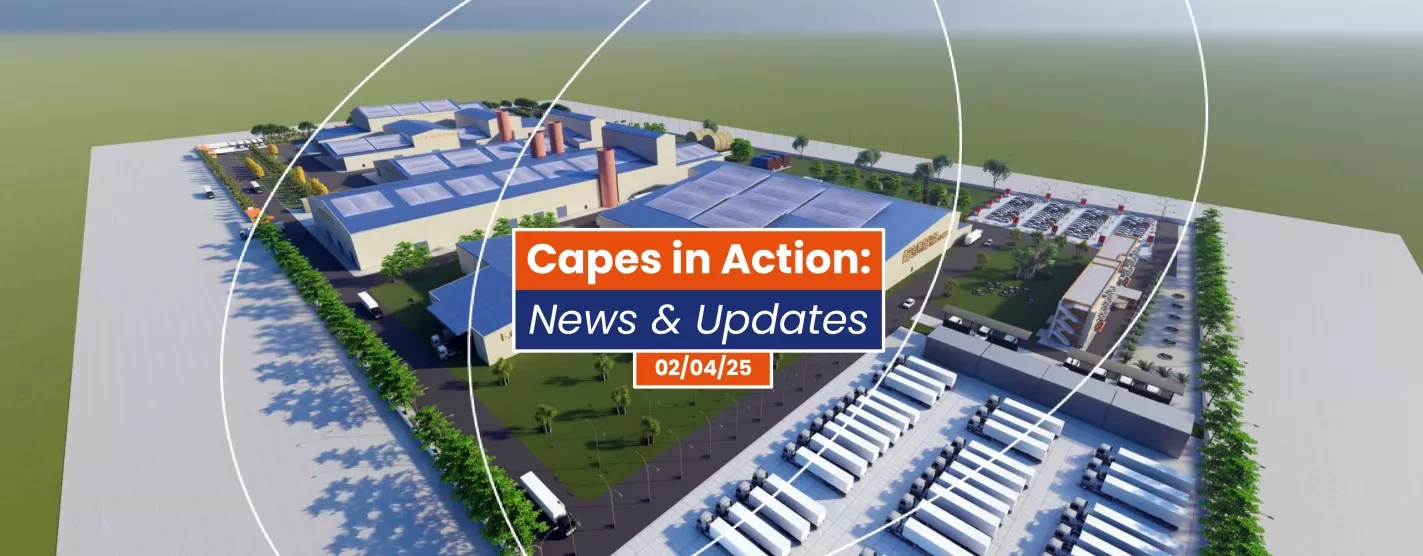 3D view of CAPES project