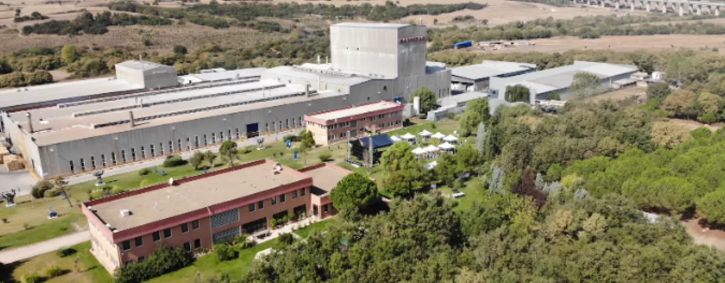 Haznedar Durer Plant