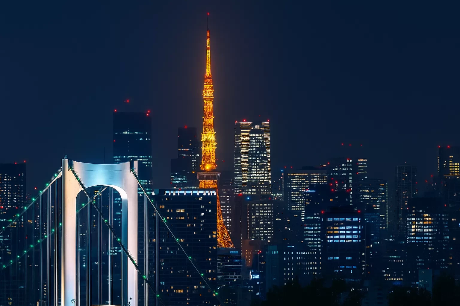 japan banner