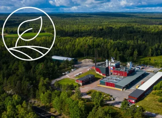 Accountable for ENVIRONMENTAL FOOTPRINT pillar
