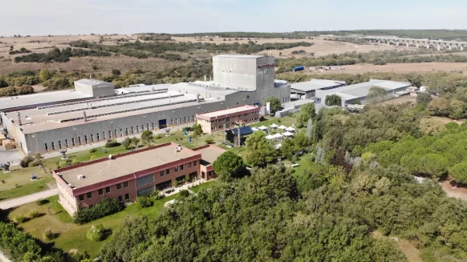 Haznedar Durer Plant